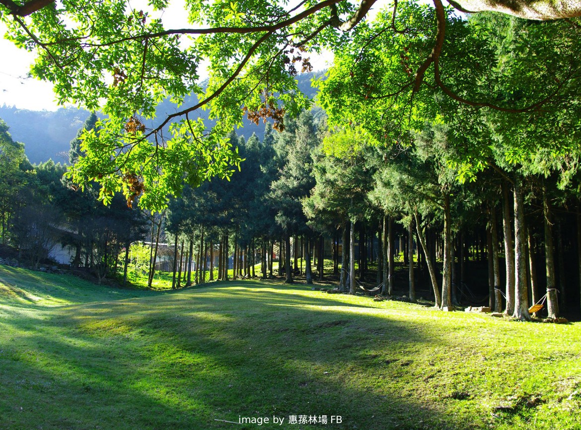 惠蓀林場.春秋山林.避暑超值二日遊