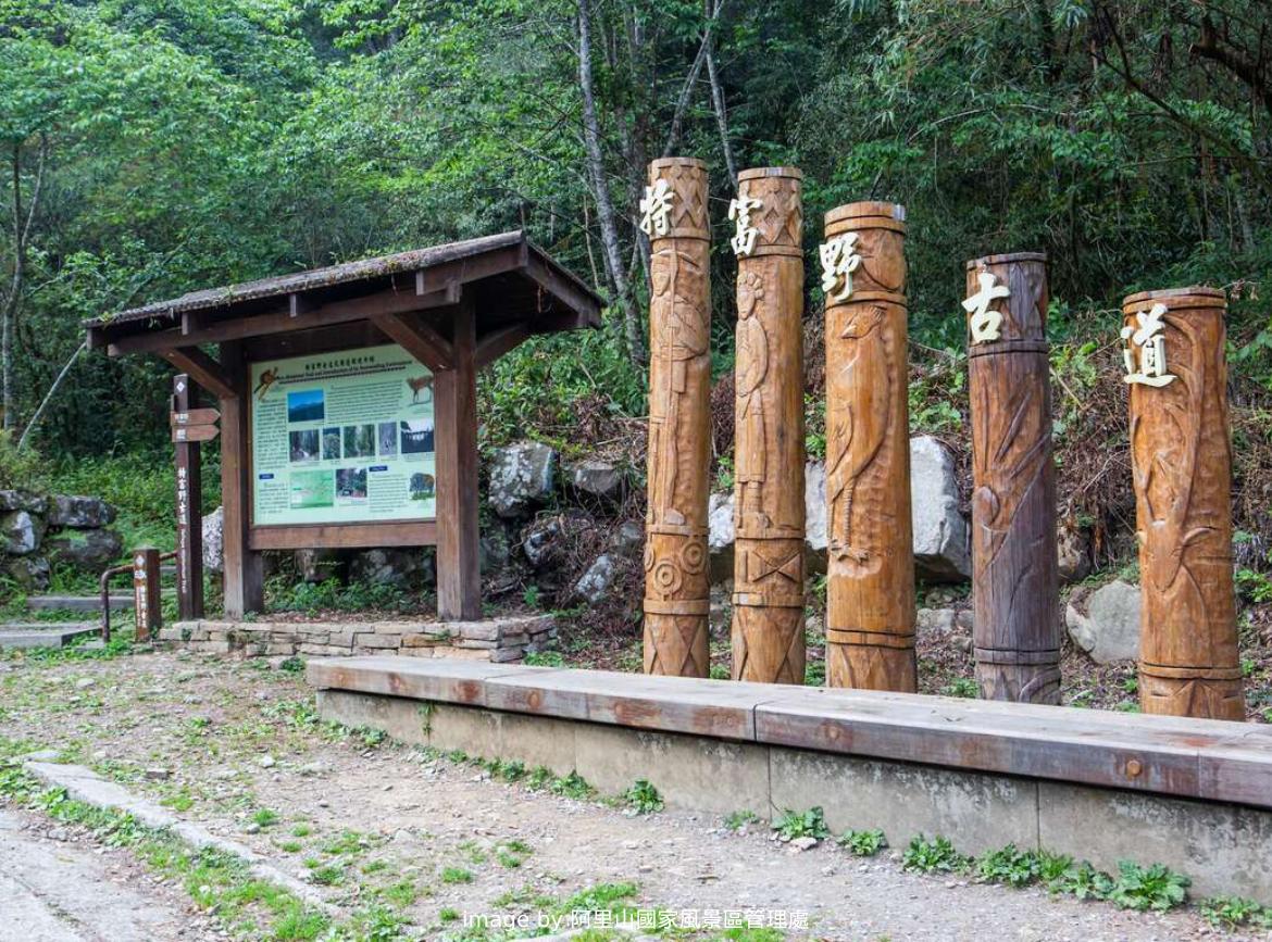 阿里山森林遊樂區特富野古道秘境二日遊