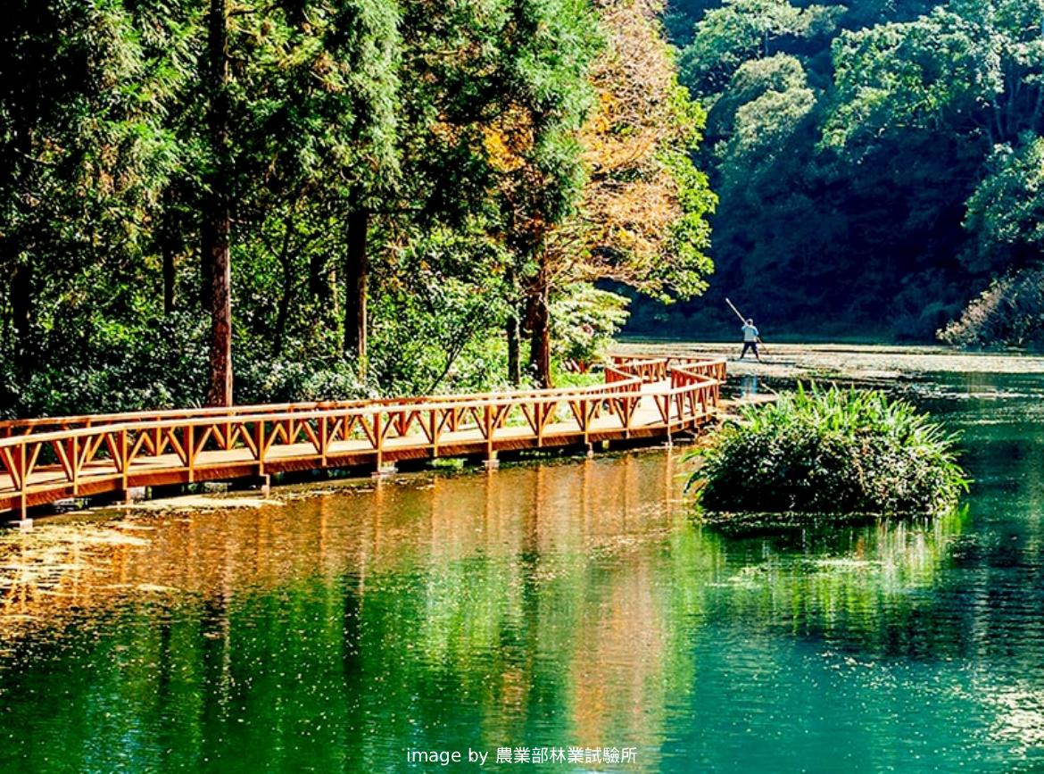 宜蘭雲霧森林秘境～福山植物園.蘇澳泡湯三日遊